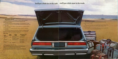 1977 Chevrolet Full Size-10-11.jpg